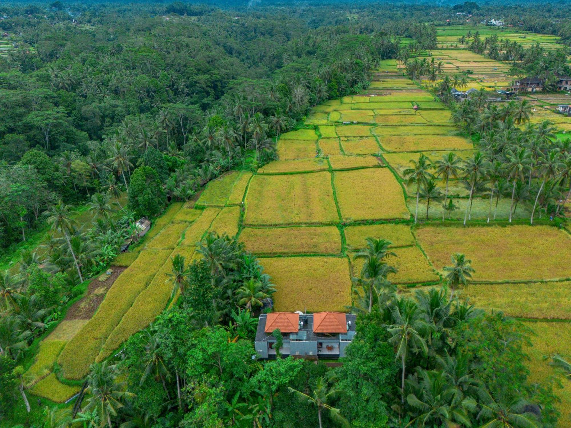 The Alus Cottage And Villa Ubud Exterior foto