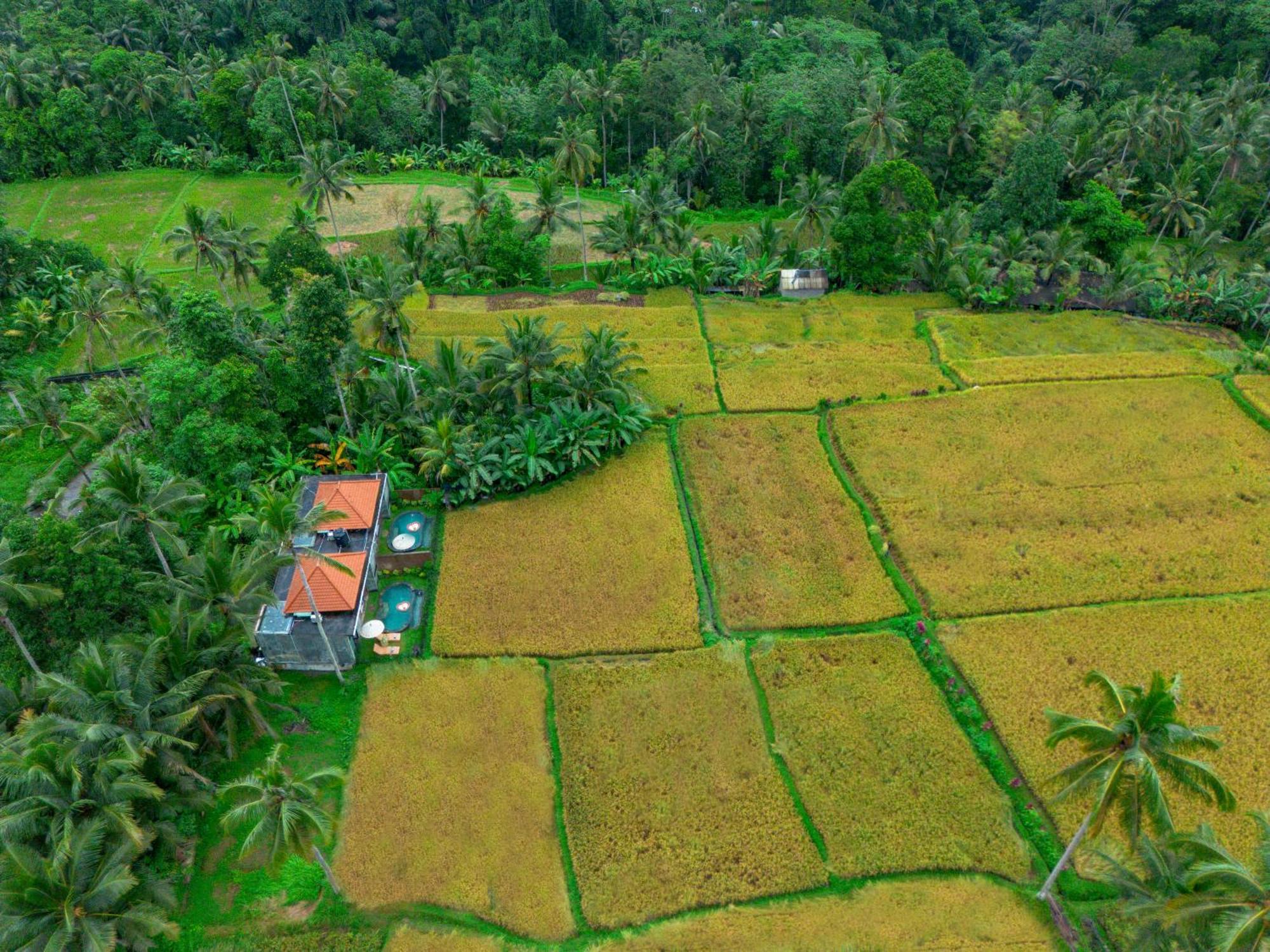 The Alus Cottage And Villa Ubud Exterior foto